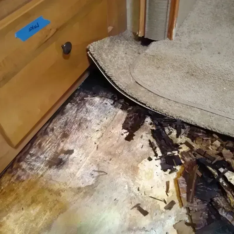 Best Wood Floor Water Damage Service in Charles County, MD